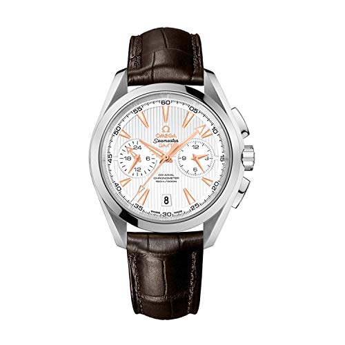 Omega Seamaster Aqua Terra Steel Men's Watch w/Brown Crocodile Leather Strap 231.13.43.52.02.001