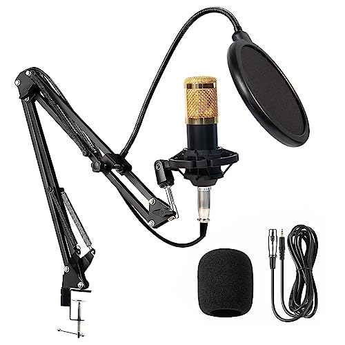 Qual o Melhor Microfone Condensador de 2025? Melhores Ranking 8 Microfone Condensador, Kit Microfone Condensador com Braço Articulado e Pop Filter para Transmissão Ao Vivo, Podcast, Gravação de Audio