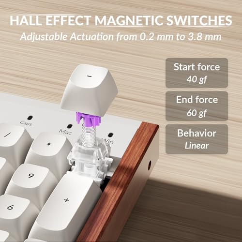 Image of Keychron K10 HE Hall Effect Keyboard Wireless, Magnetic Switch Hot Swappable, Adjustable Actuation Rapid Trigger Mode with Aluminum + Wood Frame, Full-Size Custom RGB for Mac Windows Linux - White
