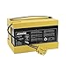 24V Battery + Charger for Peg Perego for Polaris Ranger RZR (Sliver) / for Polaris Sportsman 800 Twin Children Ride on Car (24V 12AH Battery + Charger)