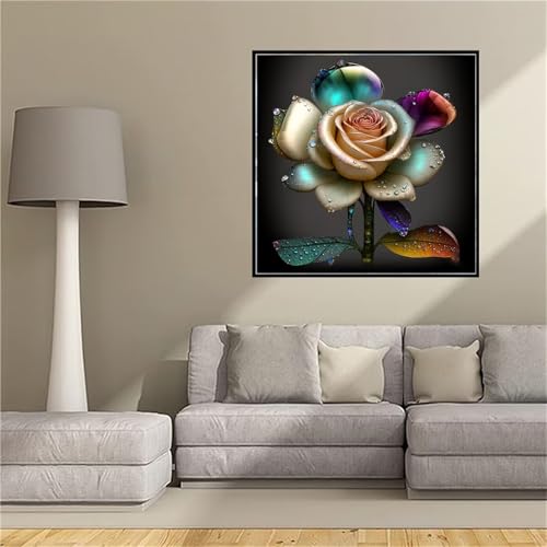 How to find ucas id number How to find ucas id number