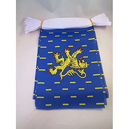 AZ FLAG Franche-Comté Bunting Flag, 20 Ft Garland 20 Small French region Franche-Comté Flags 8'' x 6''
