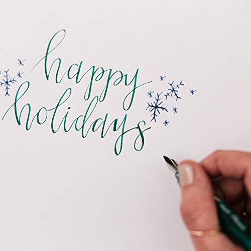 Pilot Plumix Refillable Fountain Pen, Black Barrel, Medium Nib, Black Ink (90055) #TOP3