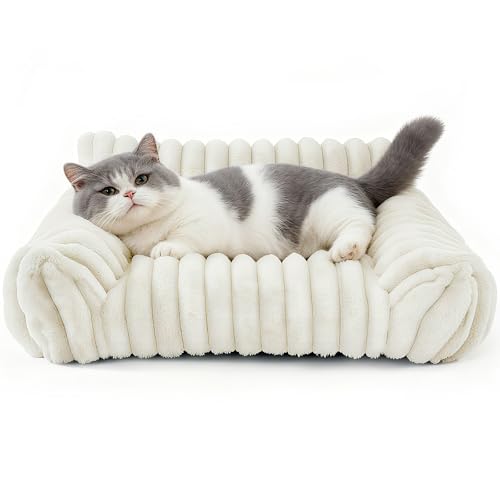 CAIEJSAEN Katzenbett Flauschig, Hundekorb Waschbar, Hundesofa Kleines Katzenkorb für Hunde und Katzen, Hundebett Weiß, 60x45x20cm