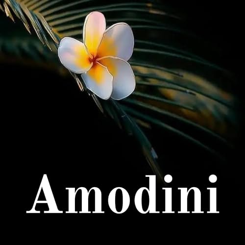 Amodini - Your way to Happiness - Motivational Podcast Eng/Hindi cover art
