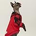 Fitwarm Plaid Pet Clothes for Dog Sweatshirts Cat Pullover Hooded Shirts Red Medium