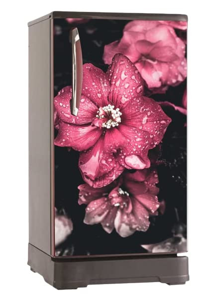 190 L 2 Star Direct Cool Single Door Refrigerator (RD Edge 200B 23 WRF PP WN, Pep Wine, Large Vegetable Tray)