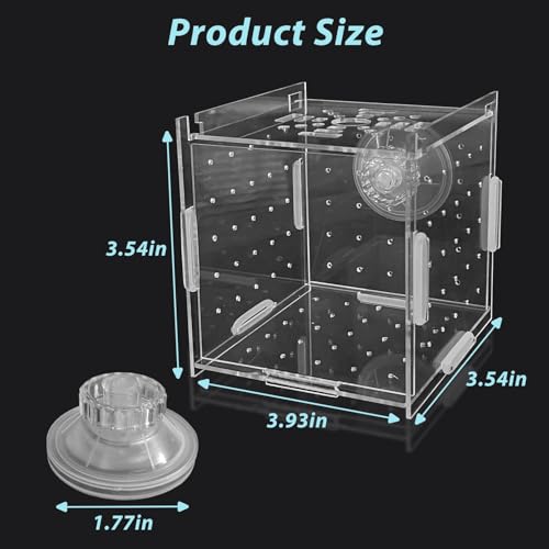 Image of PINVNBY Acrylic Fish Breeding Box，Guppy breeding Box Acrylic Fish Isolation Box Aquarium Incubator with Suction Cups for Guppy Shrimp Small Baby Fishes（3.9 x 3.9 x 3.9 inches）