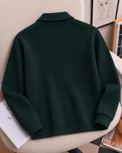 Image of AUSK Men's Cotton Blend Rib Knit Textured Full Sleeve Polo T-Shirt | Regular Fit Zip Polo Neck Smart Casual T Shirt for Men | Stylish Fashion & Casual Wear Tshirt for Men