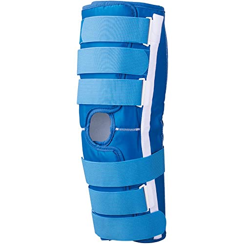 APA ×pi T|[^[ G֐ߗp yxȈʕG֐ߎx j[u[X FX 20873 L