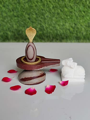Image of 2 Inch Orignal /Natural Swayambhu Narmadeshwar Lingam with 4 Inch Jaldhari, Nandhi for Home Puja