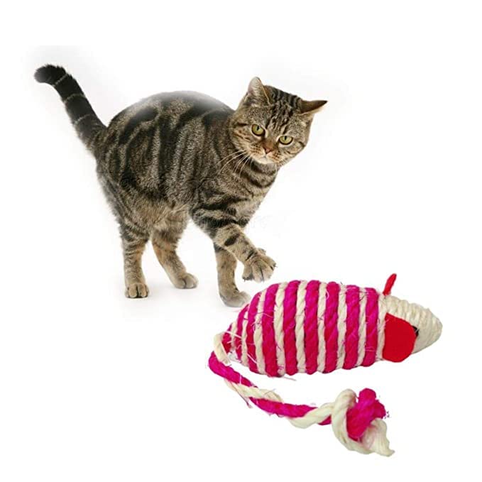 BohoBark Durable and Non Toxic Funny Nylon Rope Catnip Mouse Cat Toy Ideal for Chewing and Playing Small Cats and Kittens - Pack of 3 Piece (Color May Vary) (B0C3WBPGGS) Amazon Price History, Amazon Price Tracker