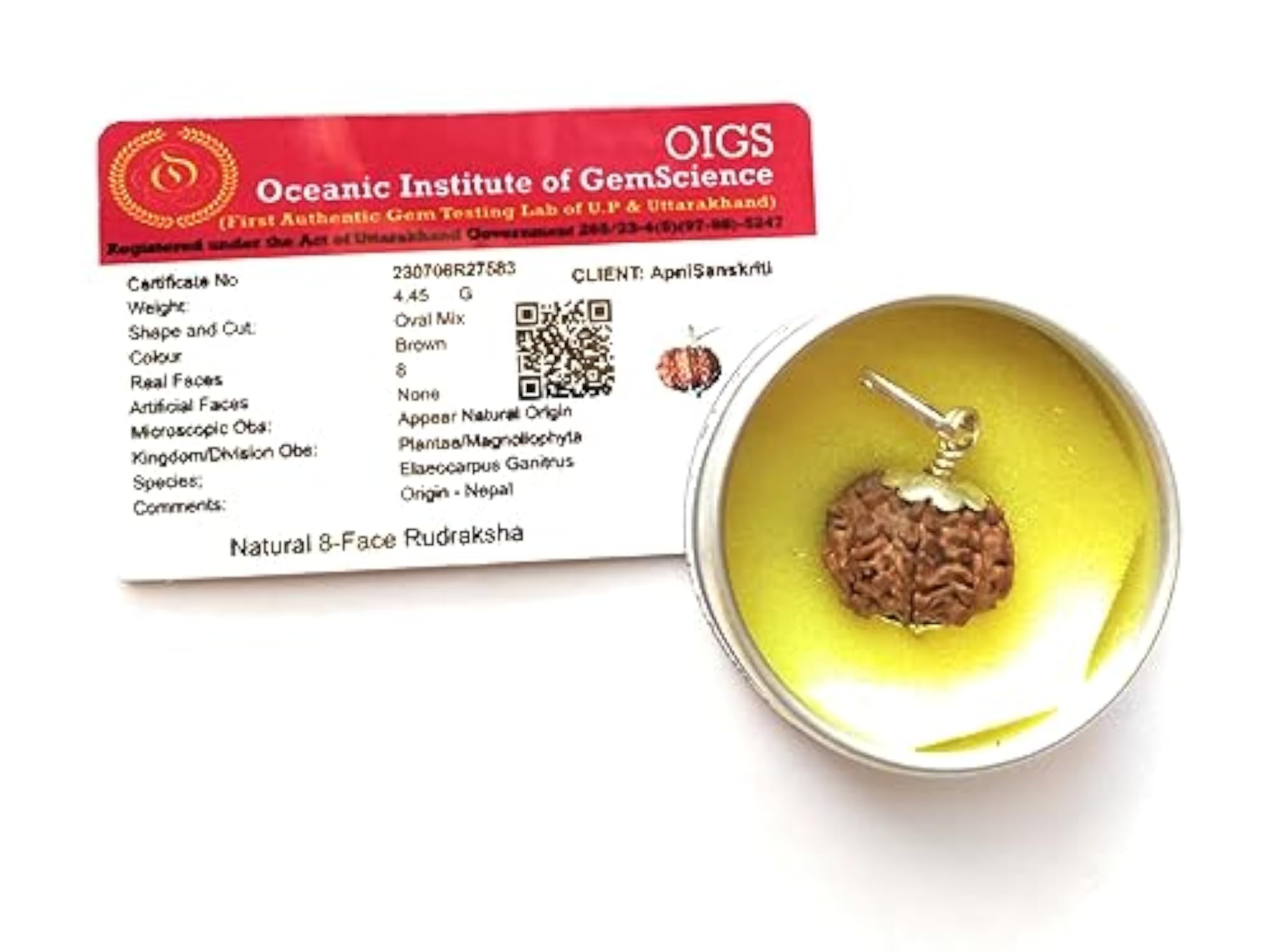 Nepali 10 Mukhi Beads with Pure Silver Padent