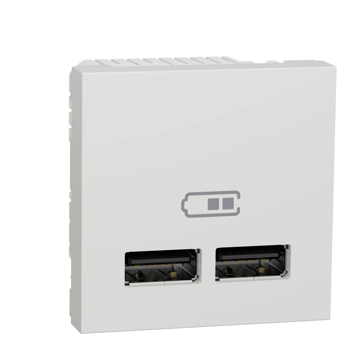 Schneider Electric NU341818 Cargador Doble Usb 2,1A 1 Módulos Polar