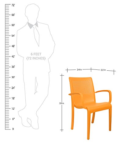 Image of CELLO Ecstasy Elegant Set of 6 Chairs (Amber Gold) | Strong and Durable | Easy to Clean | Chair for Living Room, Bed Room, Kitchen, Office Room, Outdoor | 3 Years Warranty