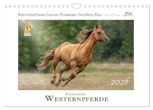 Faszination Westernpferde (Wandkalender 2026 DIN A4 quer), CALVENDO Monatskalender: Westernpferde in ihrer ganzen Schönheit (CALVENDO Tiere)