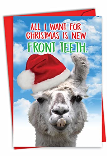 The Best Card Company Llama tg - [NX}X O[eBOJ[h t (4.63 x 6.75C`) - T^nbg C2924XSG