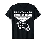 Frettchenzubehör Spielzeug