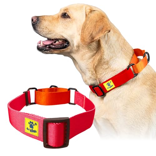 Image of A+a Pets Martingale Dog Collar | No Pull Design, No Neck Strain, No Choke Design | for Large & Medium Dogs | Rust Free, Waterproof Nylon Training Collar (Red & Orange), 20 x 2.5 cm