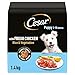 Price comparison product image CESAR Junior Dry Dog Food with Fresh Chicken, Rice and Vegetables 5 x 1.4Kg