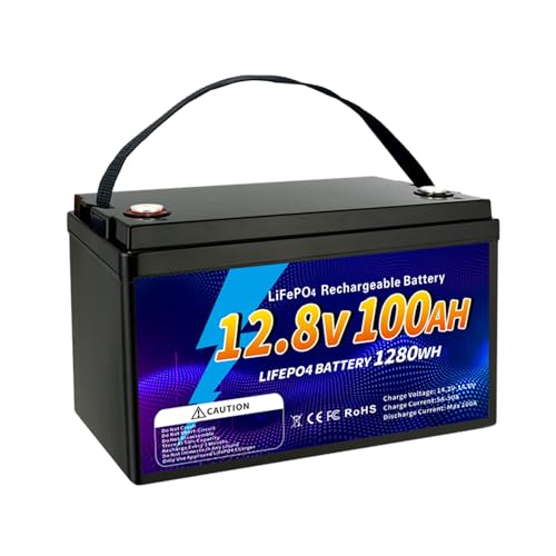 12V 100Ah LiFePO4 Battery