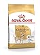 Royal Canin Chihuahua Adult | 500 g | Trockenfutter für ausgewachsene Chihuahuas | Zur Unterstützung der Stuhlqualität und der Zahngesundheit | Hohe Akzeptanz bei Hunden