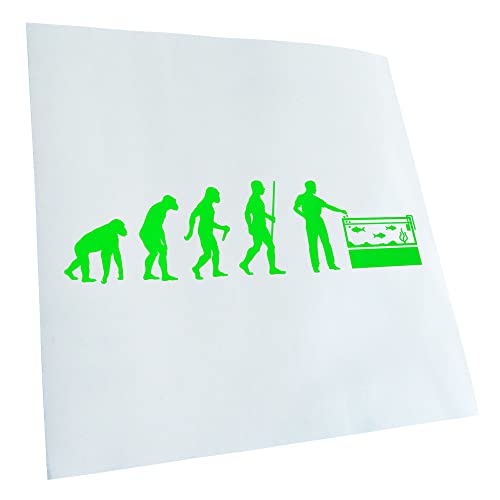 Kiwistar - Autocollant - évolution pour aquaristik poissons - néon vert - G30 - Pour voitures, vélos, véhicules, motos, cyclomoteurs, tuning, vitres arrière