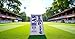 Premium Cricket Bat Sticker, Professional Grade Protective Cover, Pack of 2