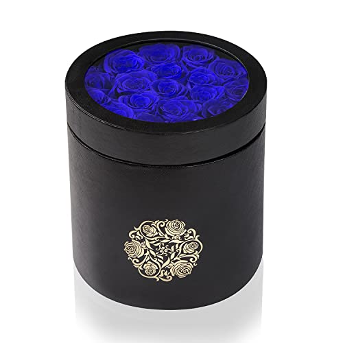 NATROSES Blue Preserved Roses in a Box Real Roses That Last Up to 3 Years, Long Lasting Roses for Her, Preserved Flower Mothers Day Valentines Day Gifts for Her