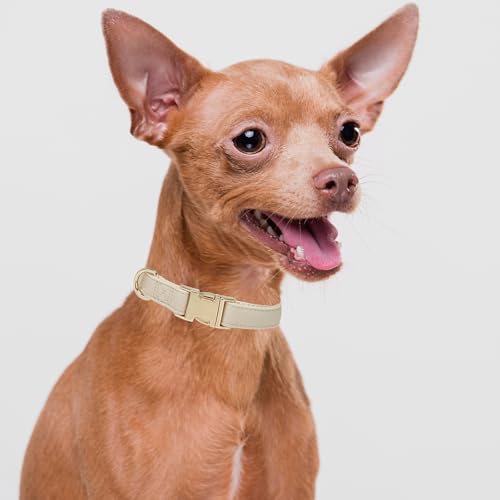 YUDOTE Hundehalsband aus Weichem Leder mit Sicherheits-Schnellverschluss-Metallschnalle, Natürliche Baumwolle, Gepolstertes Kunstlederhalsband für Kleine Hunde mit Empfindlicher Haut, Creme Weiß