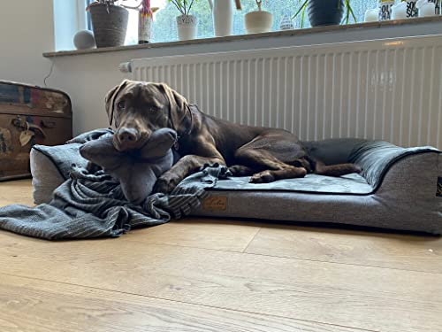 Lebon - Hundebett Balou Plus - Orthopädisch - Bis 90 Grad waschbar - 100x80cm - Dicke Liegefläche - Hochwertig und Made IN EU