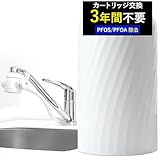 ドリームバンク 浄水器 3年 カートリッジ 交換不要 ビューク beaq フッ素 PFAS 除去 据置型 蛇口 (3年)