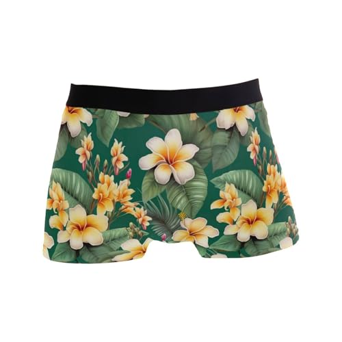 Hawaiian Tropical Flower Men's Boxer Briefs S 202a2904