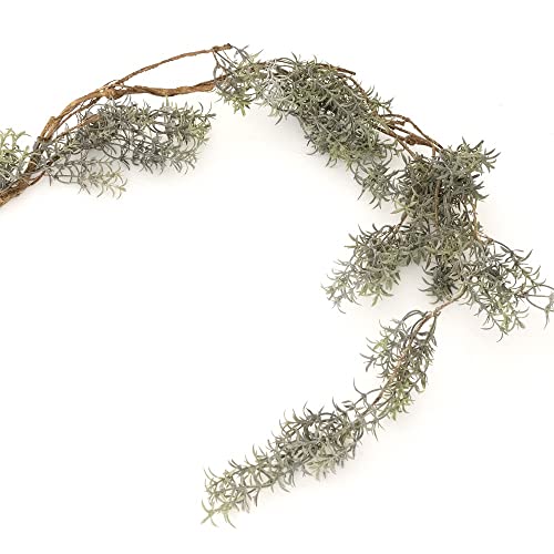 tFCNO[ lH ϗtA ϗt  [Y}[K[h C-F-1 CSZ ݂艺 Ǌ|