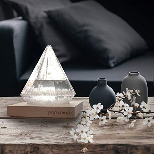 Storm Glass Weather Forecast Station Predictor/Barometer - So You Think Your Father's got