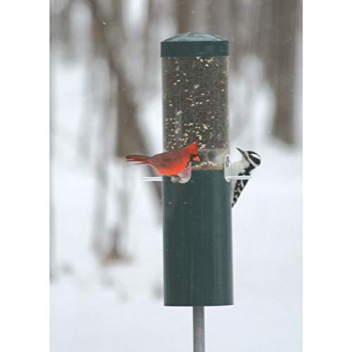 Bird's Choice Np431 Classic Wild Bird Pole Mount Included Weather And Squirrel Proof Backyard Birdseed Feeder, Green #TOP3