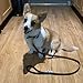 Handmade Heavy Duty Leather Dog Leash, Dog Training Lead for Walking or Running, Leather Leash for Medium, Large, Big Dogs, Soft Handle, 4, 5, 6 Ft Options, Amish Made in USA by Boxwood & Mum