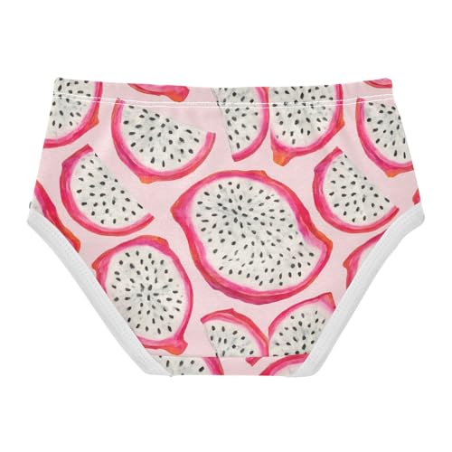 Joisal Watercolor Dragon Fruit Slices Pink Girl Panties Cute Toddler Underwear Floral Cotton Bright Kids Briefs Undies 2t2