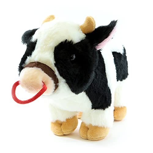 L[g̔ ʂ EV A M F0270