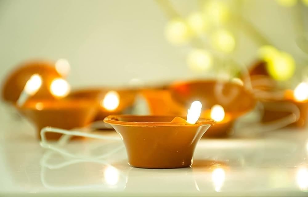 SEER Diwali Light Diya String Light - 21 Plastic Diyas in 3 Meter String - LED Deepak Fairy String Series Lights for Diwali Home Decoration (Brown) (B0DDTM2CJX) Amazon Price History, Amazon Price Tracker