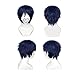 COSPLAZA Cosplay Wig Short Dark Blue Heat Resistant Anime Full Hair With Cap (Blue)