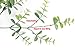 GreenCallow Artificial Farmhouse Eucalyptus (Pack of 3),Artificial Farmhouse Greenery Stems Fake Plants Foliage for Farmhouse,Home,Garden,Office,Patio,Wedding and Indoor Outdoor Decoration(Green)