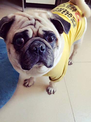 Wellead Stove Burner Covers Gas Range Protectors Non-stick Stovetop Burner Liners 12 Packs 10.6