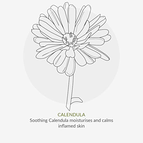 Green People Organic Babies Softening Baby Lotion 150ml | Natural & Organic Face & Body Moisturiser for Babies | Scent Free, Eczema-Friendly & Gentle on Sensitive Skin | Paraben Free, Cruelty Free - Image 8