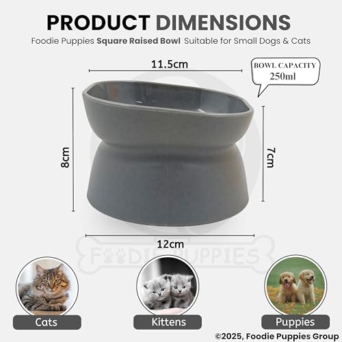 Image of Foodie Puppies Cat Raised Food and Water Feeder Bowl - (Square Raised Bowl, 250ml) | Anti-Slip and PP Material Pet Feeding Dish | Suitable for Cats, Kittens, and Puppies (Color May Vary)
