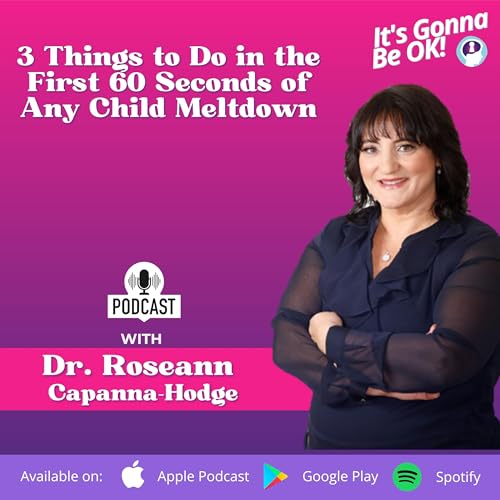 340: 3 Things to Do in the First 60 Seconds of Any Child Meltdown Podcast Por arte de portada
