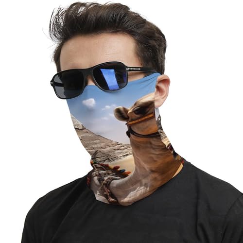 Neck Gaiter Pyramid Camel Face Mask for Travel Face Cover Scarf for Men Women Elastic Headbands Wind-proof Bandana for Skiing Fishing Hiking Cycling2