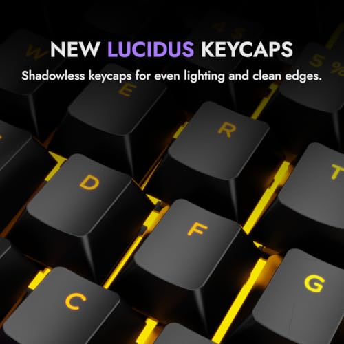 Kreo Swarm 75% Wireless Mechanical Keyboard with Pass Through Keycaps, Pre-lubed Switches, 5-pin Hot Swap PCB, 5 Layers Sound Absorption and Software Support (White Purple, Starling Switches)