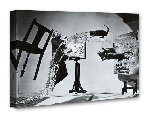 Dali Atomicus Art Print
