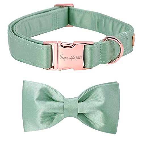 Unique style paws Collier pour chien Cover